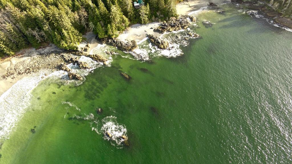 The Bamfield Motel Salmon Beach Exterior photo